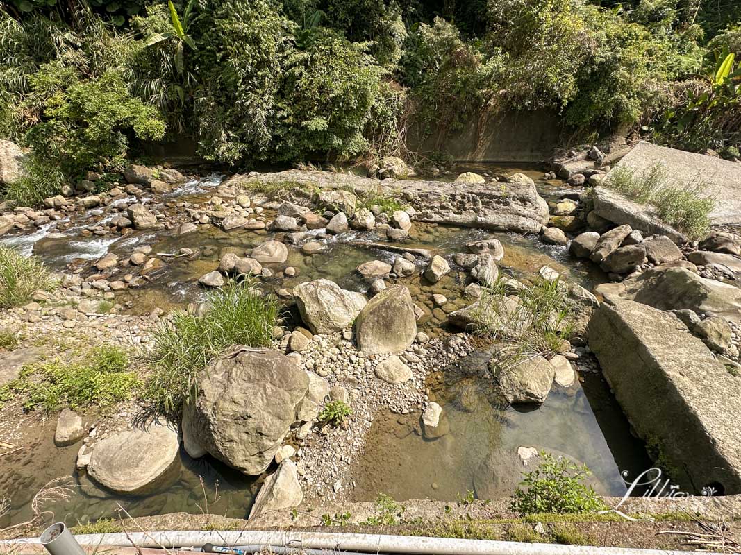 溪部好呆庄, 好呆庄, 南投野宿, 寵物友善住宿, 溪頭住宿, 溪頭民宿, 溪頭住宿推薦, 寵物友善民宿, 南投親子景點, 南投親子戶外