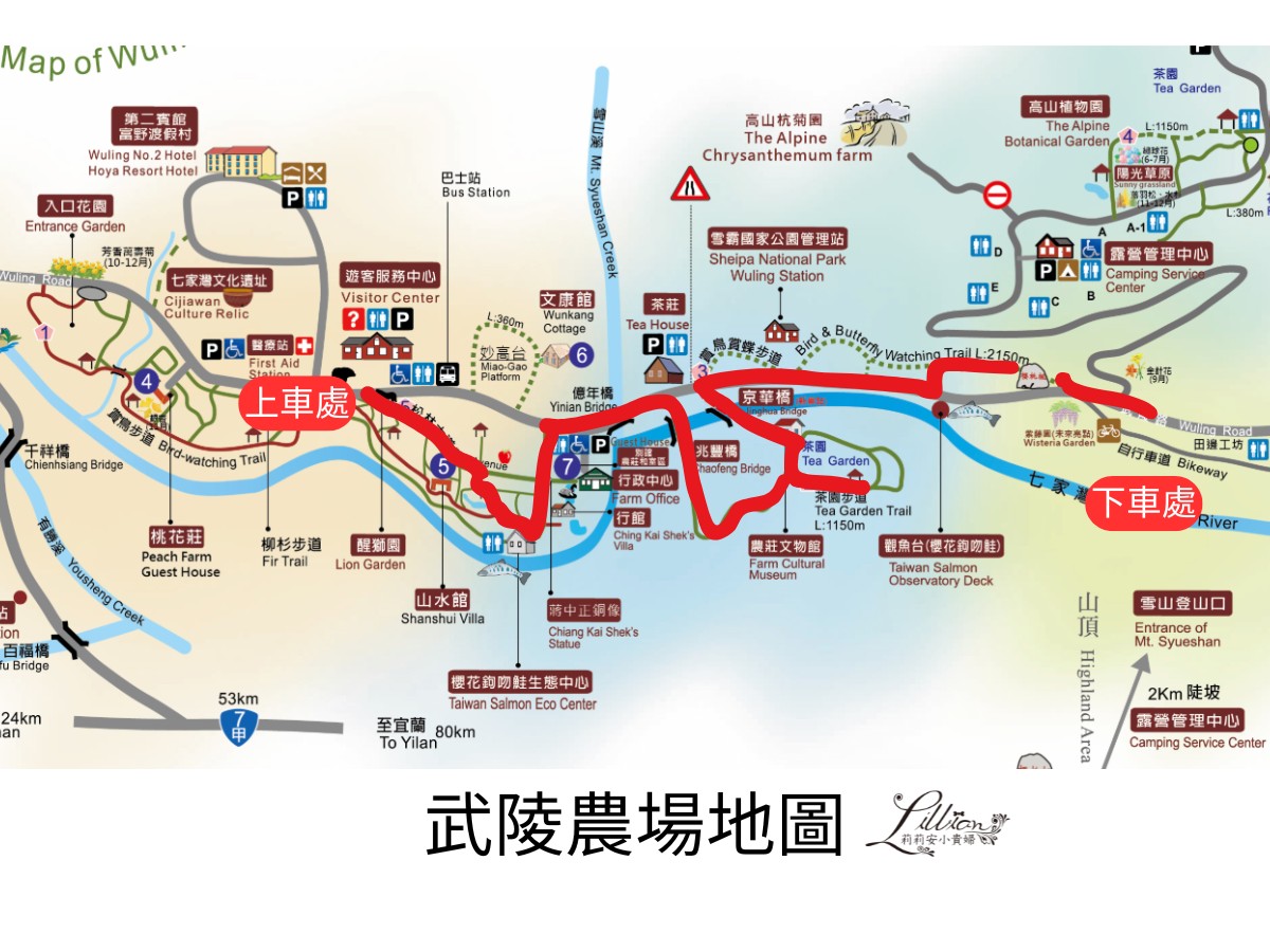 武陵農場, 武陵農場住宿, 武陵, 武陵農場櫻花季, 賞櫻, 台灣櫻花, 賞櫻花景點, 櫻花季, 台中景點推薦 武陵農場, 武陵農場住宿, 武陵, 武陵農場櫻花季, 賞櫻, 台灣櫻花, 賞櫻花景點, 櫻花季, 台中景點推薦