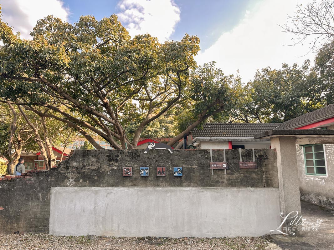 馬祖新村眷村文創園區, 馬祖新村, 中壢馬祖新村, 桃園馬祖新村, 馬祖新村文創園區, 馬祖眷村, 中壢眷村, 桃園一日遊, 桃園景點, 桃園景點推薦, 桃園景點一日遊, 桃園景點親子, 桃園景點戶外, 桃園旅遊景點, 桃園好玩, 桃園一日遊景點, 桃園旅遊景點, 桃園親子, 龍崗市場, 忠貞市場