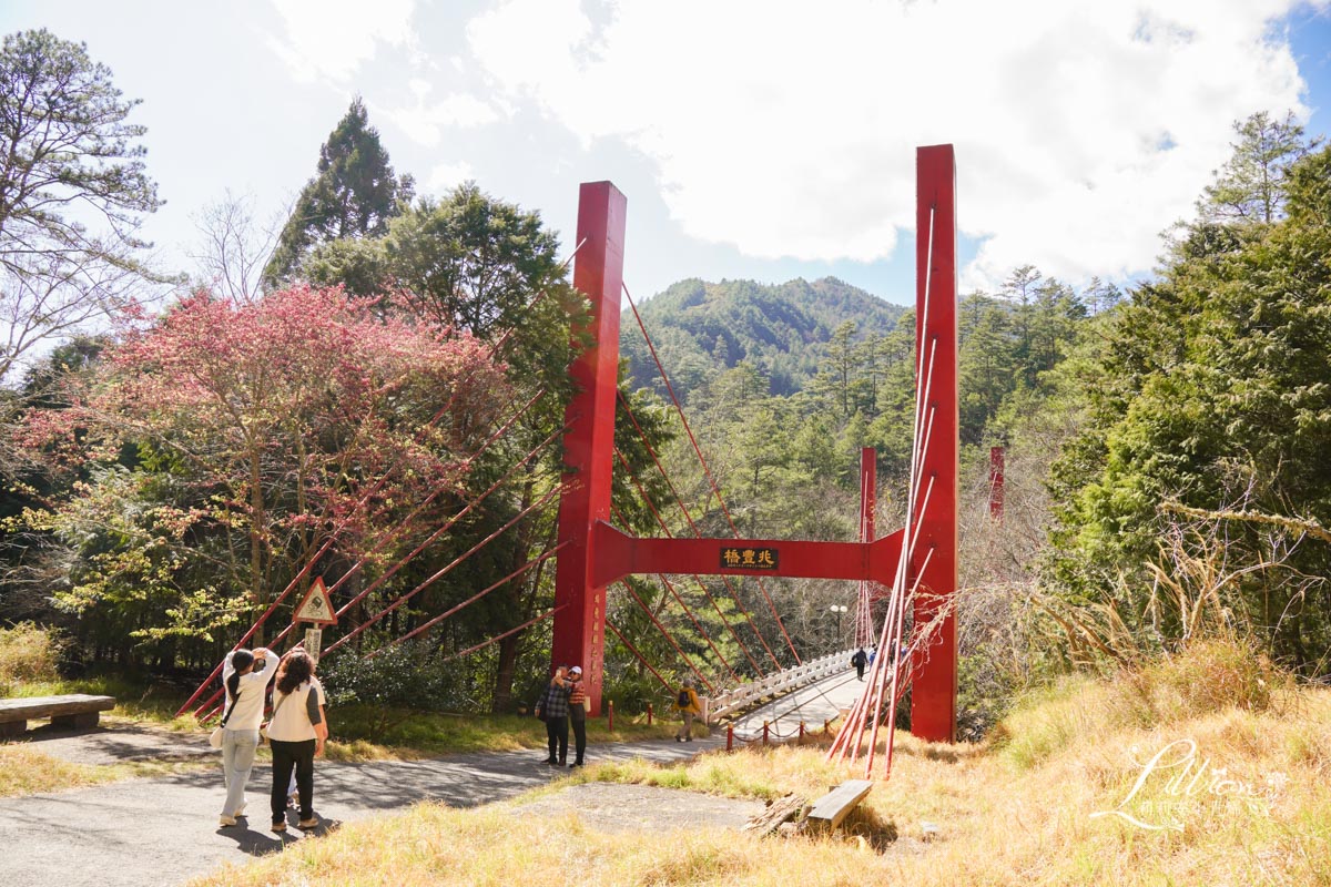 武陵農場, 武陵農場住宿, 武陵, 武陵農場櫻花季, 賞櫻, 台灣櫻花, 賞櫻花景點, 櫻花季, 台中景點推薦 武陵農場, 武陵農場住宿, 武陵, 武陵農場櫻花季, 賞櫻, 台灣櫻花, 賞櫻花景點, 櫻花季, 台中景點推薦