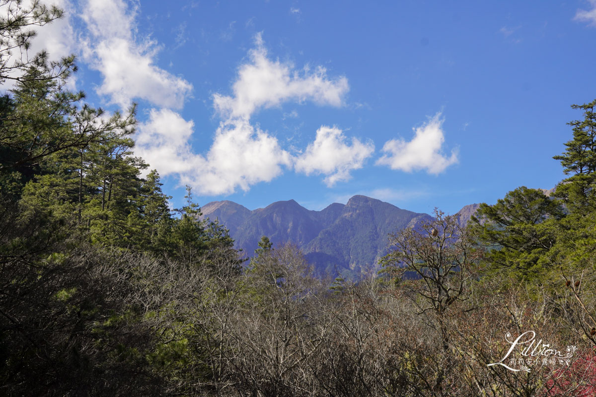 武陵農場, 武陵農場住宿, 武陵, 武陵農場櫻花季, 賞櫻, 台灣櫻花, 賞櫻花景點, 櫻花季, 台中景點推薦 武陵農場, 武陵農場住宿, 武陵, 武陵農場櫻花季, 賞櫻, 台灣櫻花, 賞櫻花景點, 櫻花季, 台中景點推薦