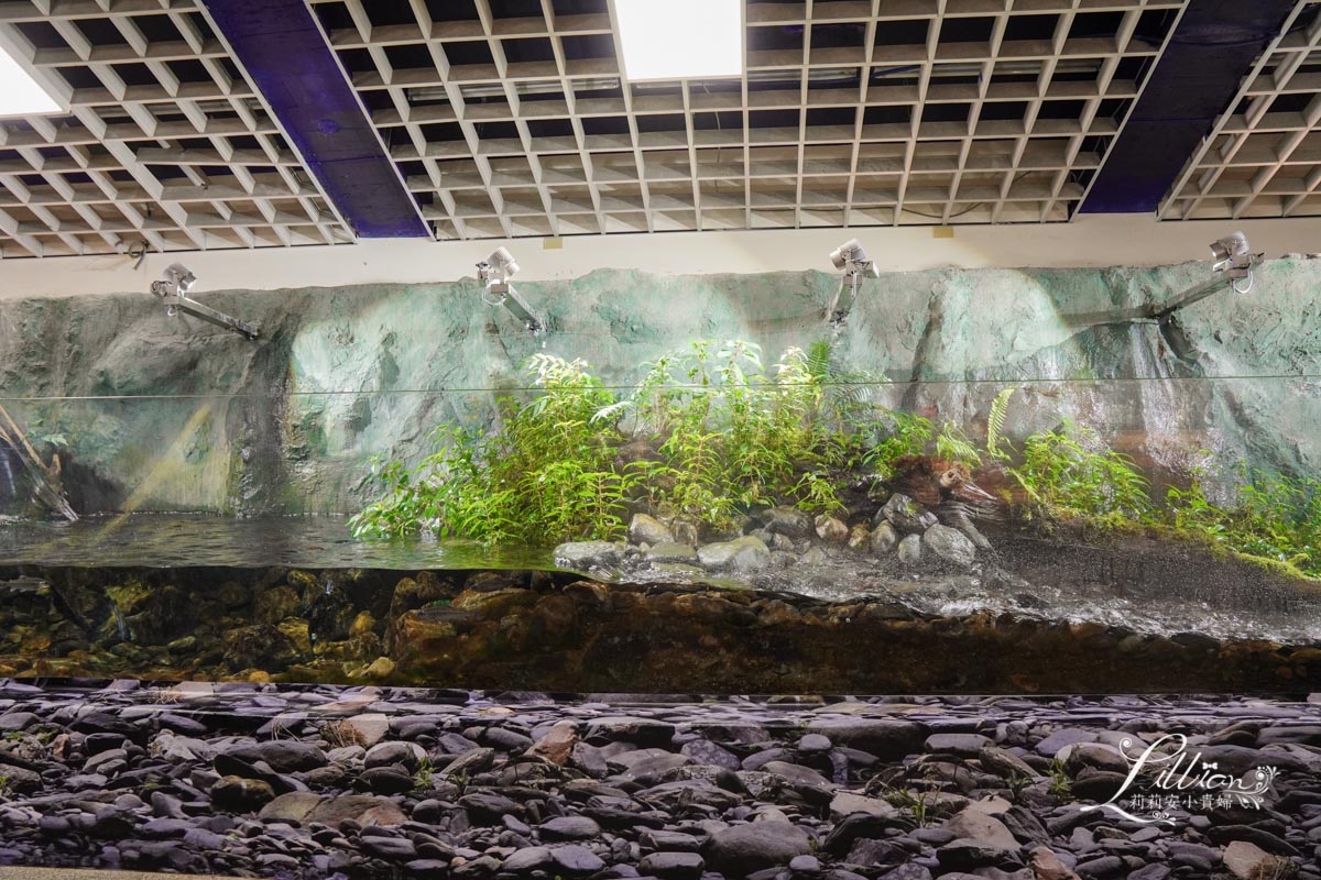 武陵農場, 武陵農場住宿, 武陵, 武陵農場櫻花季, 賞櫻, 台灣櫻花, 賞櫻花景點, 櫻花季, 台中景點推薦 武陵農場, 武陵農場住宿, 武陵, 武陵農場櫻花季, 賞櫻, 台灣櫻花, 賞櫻花景點, 櫻花季, 台中景點推薦