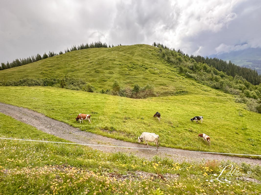 少女峰, 瑞士少女峰, jungfrau, Kleine Scheidegg, 小夏戴克, 愛的迫降, 溫根 , Wengen, 瑞士三大名峰, 勞特布魯嫩, Lauterbrunnen, 瀑布鎮, 梅利申, Männlichen, 少女峰通行證, 少女峰交通, 瑞士推薦景點, 少女峰攻略,瑞士自由行 少女峰, 瑞士少女峰, jungfrau, Kleine Scheidegg, 小夏戴克, 愛的迫降, 溫根 , Wengen, 瑞士三大名峰, 勞特布魯嫩, Lauterbrunnen, 瀑布鎮, 梅利申, Männlichen, 少女峰通行證, 少女峰交通, 瑞士推薦景點, 少女峰攻略,瑞士自由行