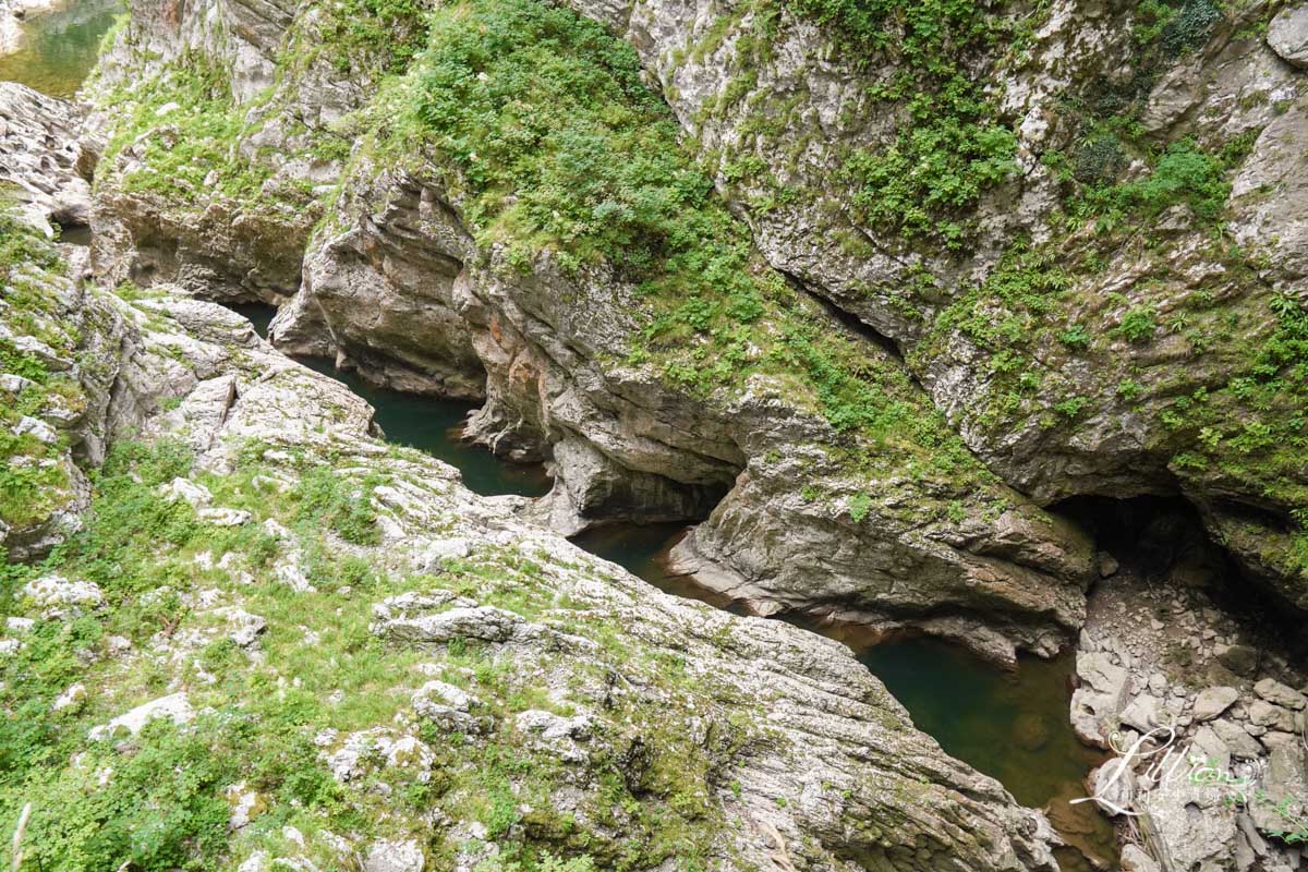 slovenia, 斯洛文尼亞, 斯洛維尼亞, 斯洛維尼亞景點, 波斯托伊納洞, Postojnske jame, Škocjanske jame, 什科茨揚鐘乳石洞, Park Škocjanske jame, Škocjan, 盧比安納, 盧比安納, 景點, 斯洛維尼亞景點推薦, 斯洛維尼亞鐘乳石, 溶洞, 喀斯特地形, 鐘乳石洞, Postojna Cave, 斯洛維尼亞自由行, 盧比安納一日遊, 斯洛維尼亞旅遊
