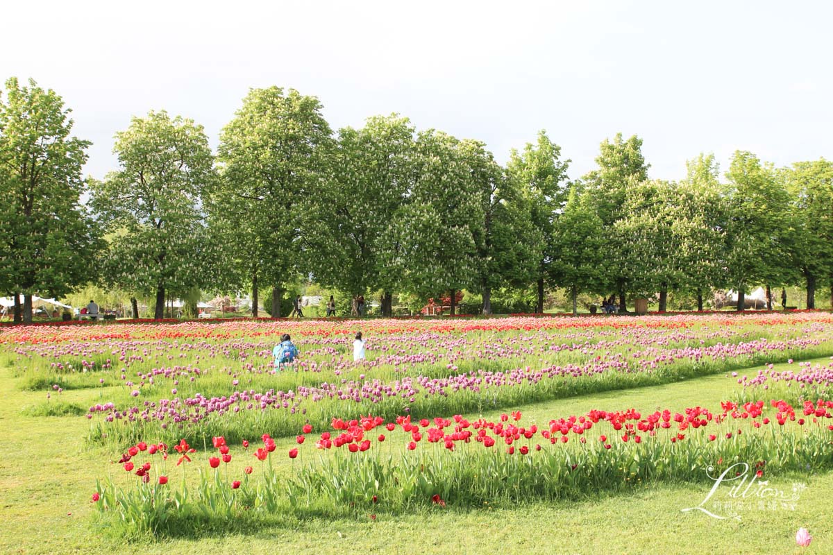 slovenia, Volčji Potok Arboretum, 斯洛文尼亞, 斯洛維尼亞, 斯洛維尼亞景點, 斯洛維尼亞景點推薦, 歐洲親子旅遊, 親子旅遊, 盧比安納景點推薦, Lubiana景點, Volčji Potok植物園, 斯洛維尼亞自由行, 盧比安納一日遊, 斯洛維尼亞旅遊