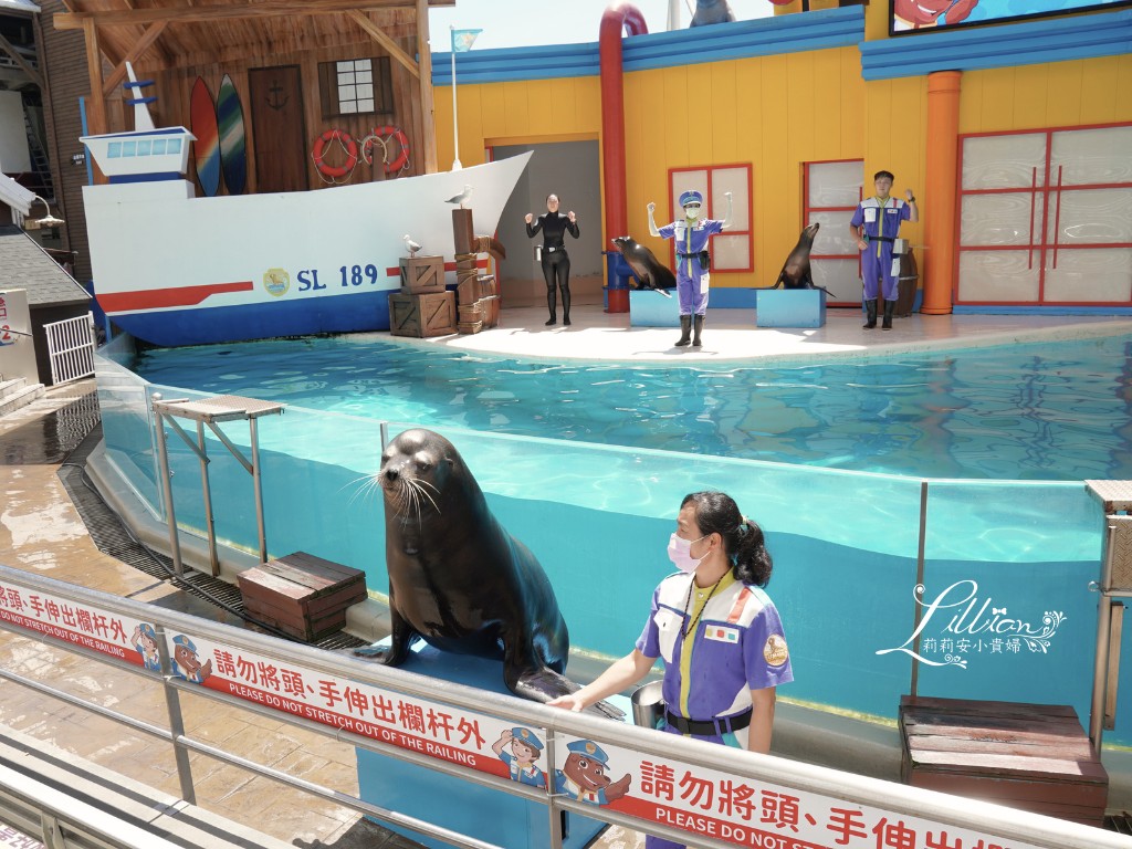 遠雄海洋公園, 遠雄悅來, 花蓮親子景點, 花蓮旅遊, 親子旅遊, 壽豐景點, 親子住宿, 台灣主題樂園, 兒童景點, 花蓮景點推薦, 花蓮景點, 遠雄海洋公園門票, 遠雄海洋公園門票優惠, 花蓮必去景點, 花蓮旅遊景點, 花蓮市區景點, 遠雄海洋門票, 花蓮景點推薦,