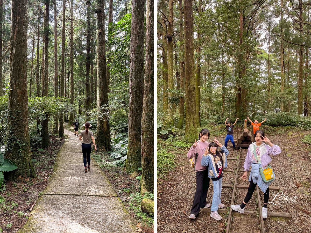 東眼山國家森林遊樂區, 東眼山天氣, 東眼山門票, 東眼山遊客中心, 東眼山步道要走多久, 東眼山步道, 東眼山森林遊樂區, 桃園親子, 桃園親子景點, 桃園親子一日遊, 桃園兒童景點, 復興鄉景點, 桃園復興鄉, 復興鄉親子景點, 小百岳, 桃園步道, 桃園 爬山, 桃園登山步道, 台灣小百岳, 桃園小百岳, 北部小百岳