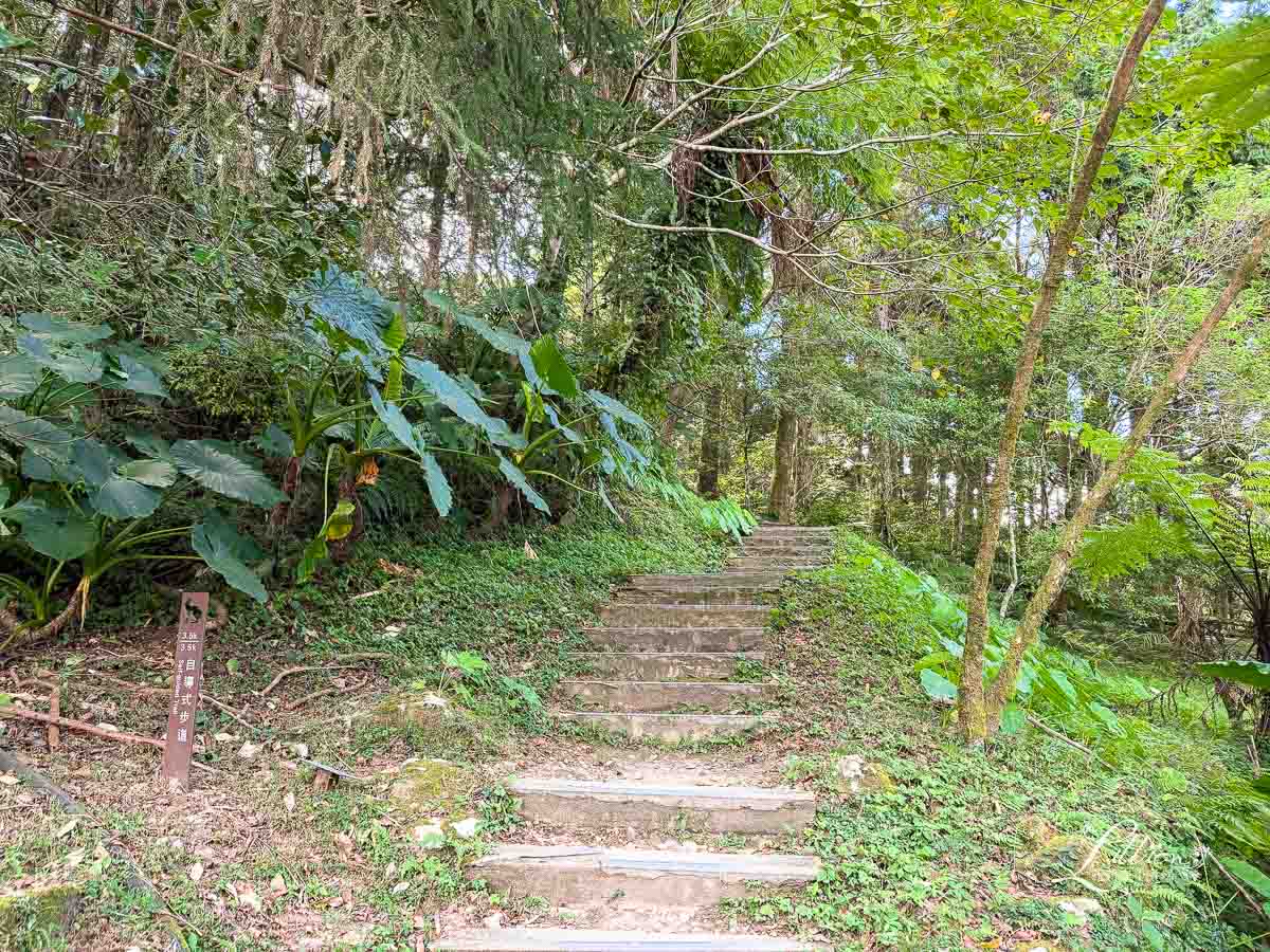 東眼山國家森林遊樂區, 東眼山天氣, 東眼山門票, 東眼山遊客中心, 東眼山步道要走多久, 東眼山步道, 東眼山森林遊樂區, 桃園親子, 桃園親子景點, 桃園親子一日遊, 桃園兒童景點, 復興鄉景點, 桃園復興鄉, 復興鄉親子景點, 小百岳, 桃園步道, 桃園 爬山, 桃園登山步道, 台灣小百岳, 桃園小百岳, 北部小百岳