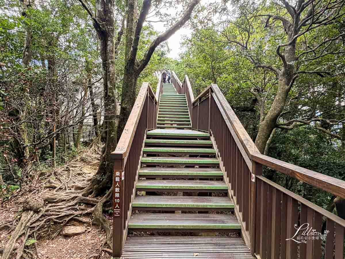 東眼山國家森林遊樂區, 東眼山天氣, 東眼山門票, 東眼山遊客中心, 東眼山步道要走多久, 東眼山步道, 東眼山森林遊樂區, 桃園親子, 桃園親子景點, 桃園親子一日遊, 桃園兒童景點, 復興鄉景點, 桃園復興鄉, 復興鄉親子景點, 小百岳, 桃園步道, 桃園 爬山, 桃園登山步道, 台灣小百岳, 桃園小百岳, 北部小百岳