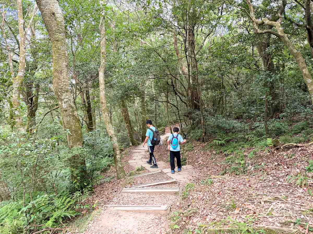 東眼山國家森林遊樂區, 東眼山天氣, 東眼山門票, 東眼山遊客中心, 東眼山步道要走多久, 東眼山步道, 東眼山森林遊樂區, 桃園親子, 桃園親子景點, 桃園親子一日遊, 桃園兒童景點, 復興鄉景點, 桃園復興鄉, 復興鄉親子景點, 小百岳, 桃園步道, 桃園 爬山, 桃園登山步道, 台灣小百岳, 桃園小百岳, 北部小百岳