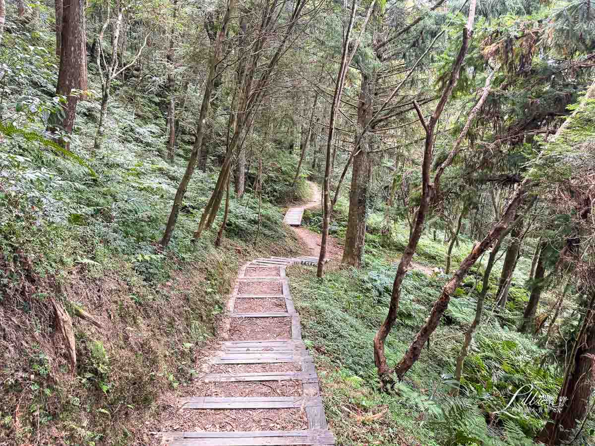 東眼山國家森林遊樂區, 東眼山天氣, 東眼山門票, 東眼山遊客中心, 東眼山步道要走多久, 東眼山步道, 東眼山森林遊樂區, 桃園親子, 桃園親子景點, 桃園親子一日遊, 桃園兒童景點, 復興鄉景點, 桃園復興鄉, 復興鄉親子景點, 小百岳, 桃園步道, 桃園 爬山, 桃園登山步道, 台灣小百岳, 桃園小百岳, 北部小百岳