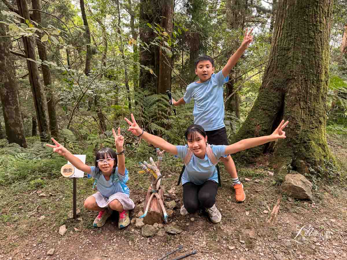 東眼山國家森林遊樂區, 東眼山天氣, 東眼山門票, 東眼山遊客中心, 東眼山步道要走多久, 東眼山步道, 東眼山森林遊樂區, 桃園親子, 桃園親子景點, 桃園親子一日遊, 桃園兒童景點, 復興鄉景點, 桃園復興鄉, 復興鄉親子景點, 小百岳, 桃園步道, 桃園 爬山, 桃園登山步道, 台灣小百岳, 桃園小百岳, 北部小百岳