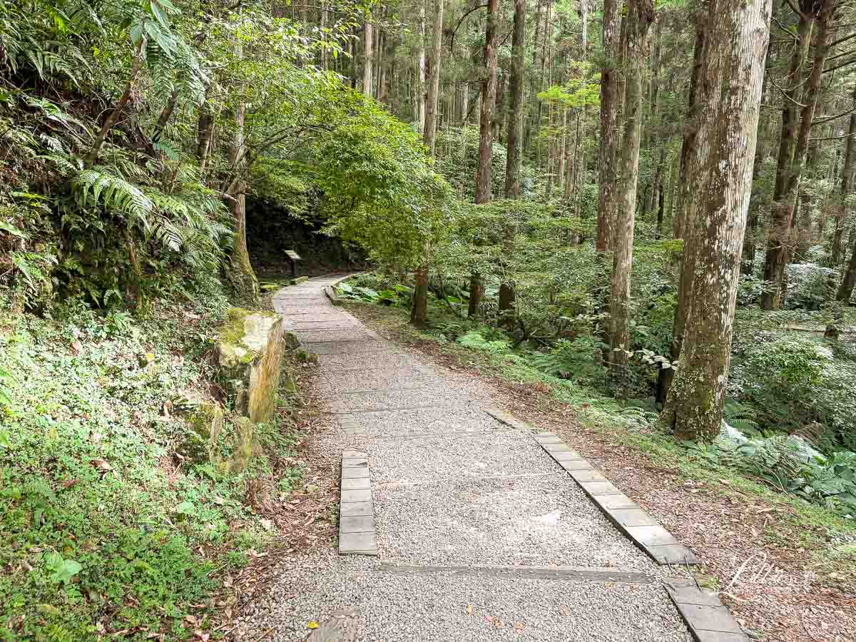 東眼山國家森林遊樂區, 東眼山天氣, 東眼山門票, 東眼山遊客中心, 東眼山步道要走多久, 東眼山步道, 東眼山森林遊樂區, 桃園親子, 桃園親子景點, 桃園親子一日遊, 桃園兒童景點, 復興鄉景點, 桃園復興鄉, 復興鄉親子景點, 小百岳, 桃園步道, 桃園 爬山, 桃園登山步道, 台灣小百岳, 桃園小百岳, 北部小百岳