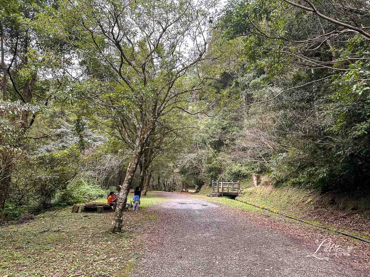 東眼山國家森林遊樂區, 東眼山天氣, 東眼山門票, 東眼山遊客中心, 東眼山步道要走多久, 東眼山步道, 東眼山森林遊樂區, 桃園親子, 桃園親子景點, 桃園親子一日遊, 桃園兒童景點, 復興鄉景點, 桃園復興鄉, 復興鄉親子景點, 小百岳, 桃園步道, 桃園 爬山, 桃園登山步道, 台灣小百岳, 桃園小百岳, 北部小百岳
