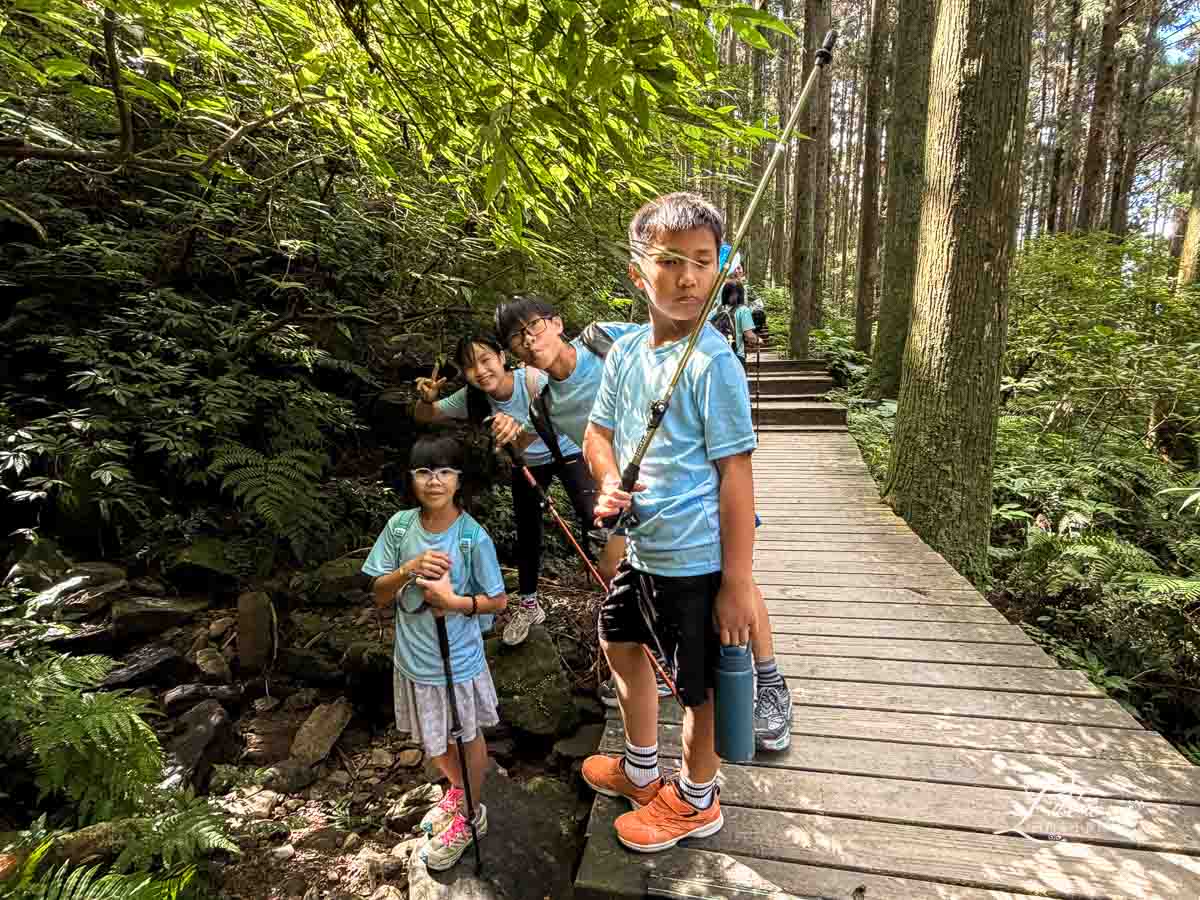 東眼山國家森林遊樂區, 東眼山天氣, 東眼山門票, 東眼山遊客中心, 東眼山步道要走多久, 東眼山步道, 東眼山森林遊樂區, 桃園親子, 桃園親子景點, 桃園親子一日遊, 桃園兒童景點, 復興鄉景點, 桃園復興鄉, 復興鄉親子景點, 小百岳, 桃園步道, 桃園 爬山, 桃園登山步道, 台灣小百岳, 桃園小百岳, 北部小百岳
