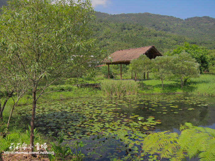 延伸閱讀：【花蓮光復景點】馬太鞍濕地、欣綠農園。阿美族的生態寶藏