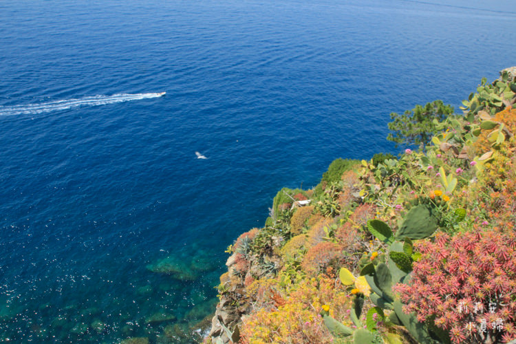 網站近期文章：【義大利自助旅行】五漁村國家公園Cinque Terre。Corniglia & Monterosso交通方式、推薦美食與知名景點