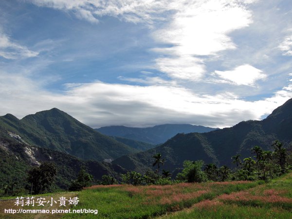 三地門,三地門舊達來,原住民,夾竹桃天蛾,屏東,生態旅遊,石板屋,紅藜,蜻蜓雅築 @莉莉安小貴婦旅行札記