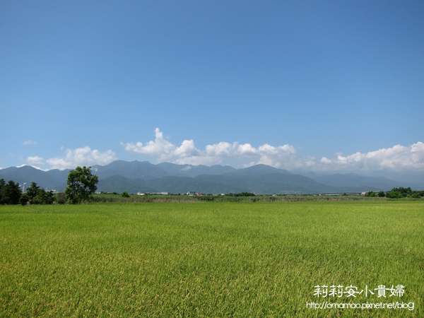 2013童玩節,冬山河親水公園,利澤簡老街,利生醫院,台灣好行,台灣好行黃金福隆線,林場肉羹,童玩節,羅東夜市,羅東林業園區