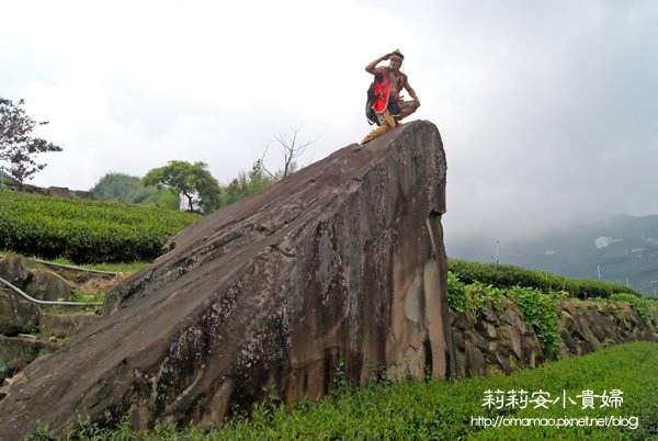 阿里山樂野部落