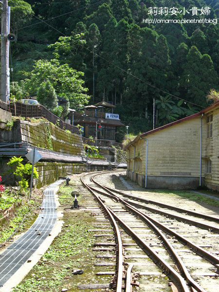 阿里山奮起湖