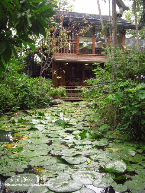 卓也小屋,卓也小屋大安店,台中,大安美食,大甲美食,大甲鎮瀾宮,有機美食,有機餐廳,美食餐廳 @莉莉安小貴婦旅行札記