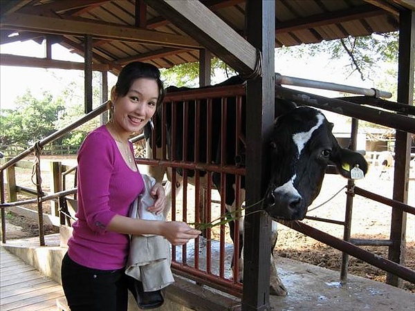  @莉莉安小貴婦旅行札記