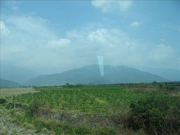 台東,台東森林公園,多良,琵琶湖