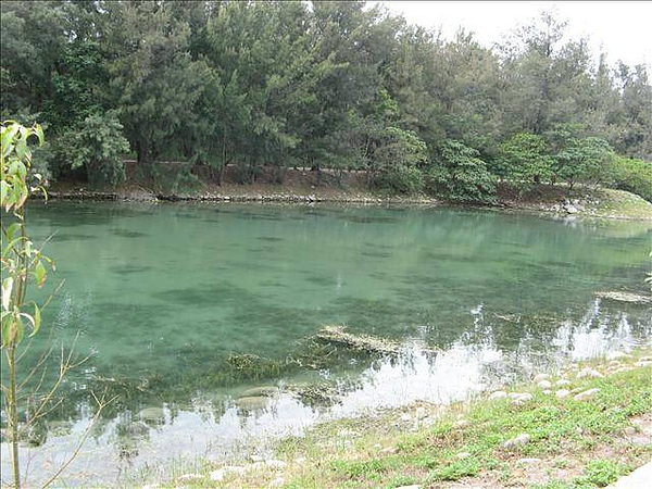 台東,台東森林公園,多良,琵琶湖